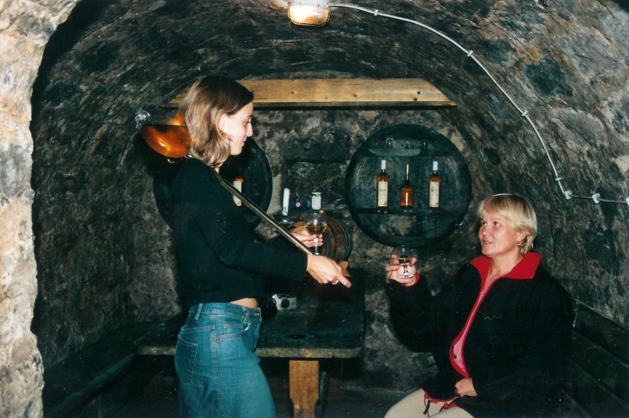 Abaújszántó Jancsi Es Juliska Vendeghaz酒店 外观 照片